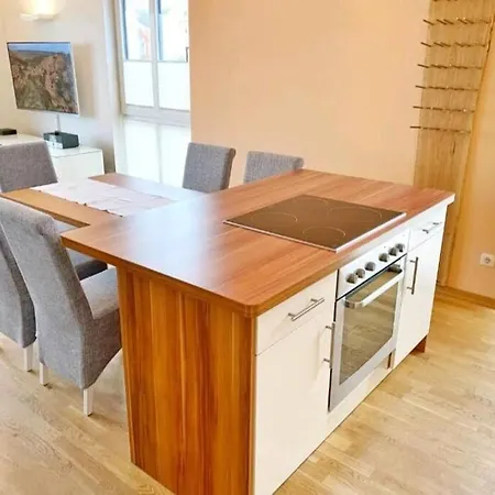 Seevogel In Mit Seeblick