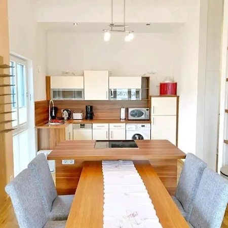 Seevogel In Mit Seeblick Sassnitz