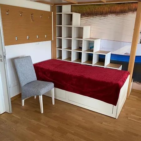 Seevogel In Mit Seeblick Sassnitz